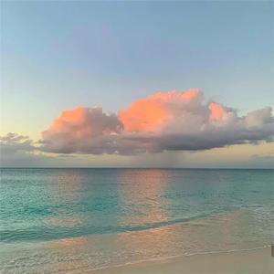 做受高潮❌❌❌❌牲交
